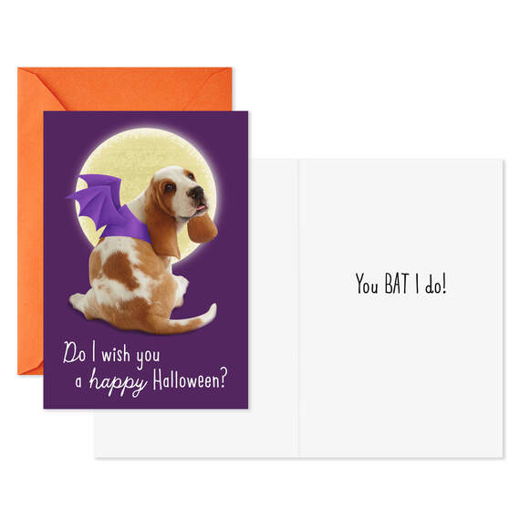 Dogs and Cats in Costume Assorted Halloween Cards, Pack of 8, , large image number 4