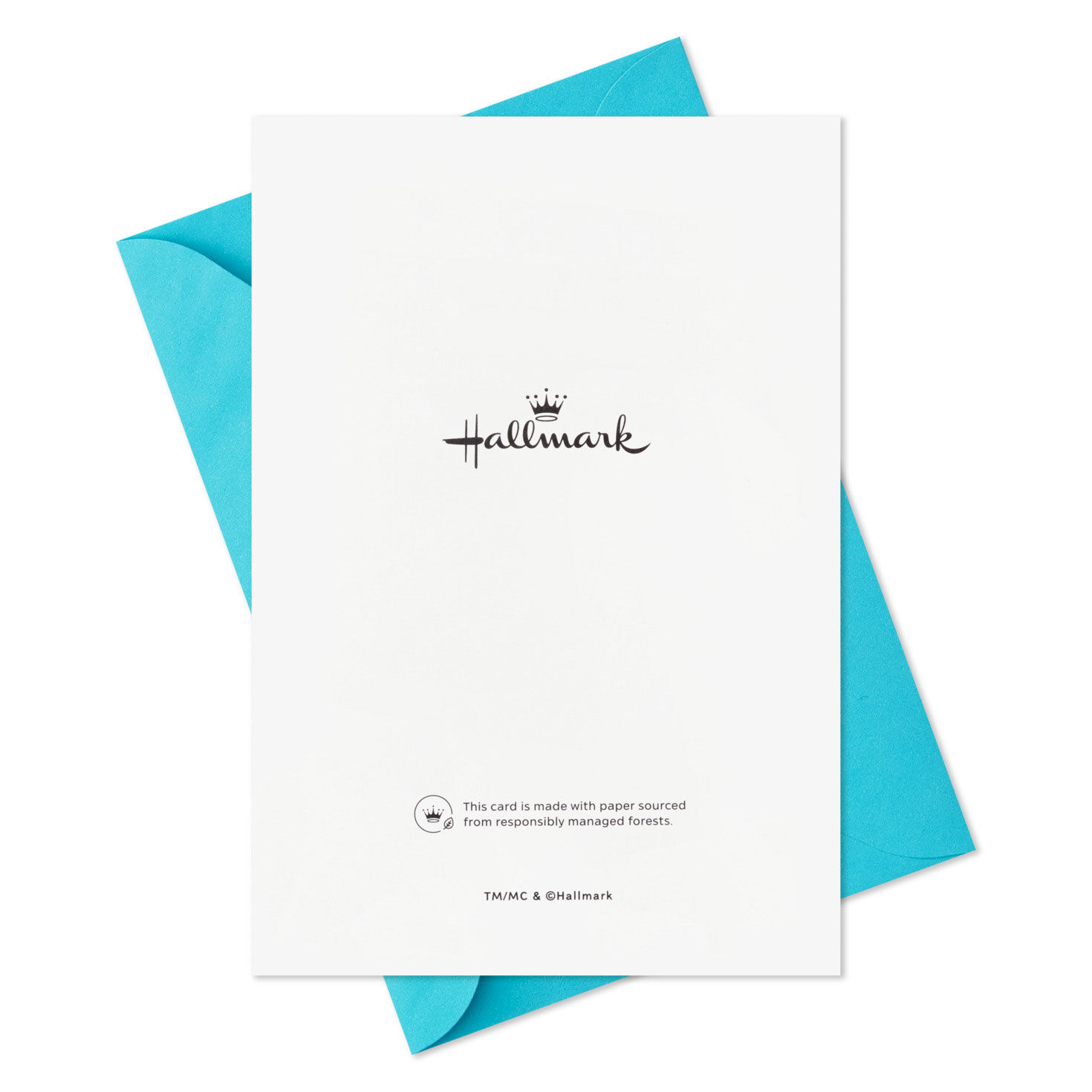 Festive Dogs on Blue Packaged Christmas Cards, Set of 5, , large image number 7