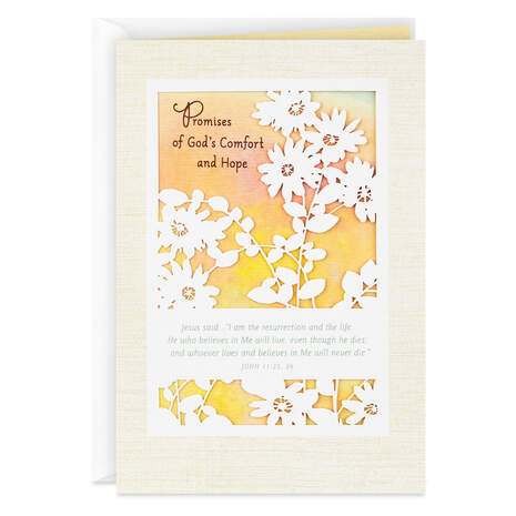 Promises of God's Comfort and Hope Religious Sympathy Card, , large