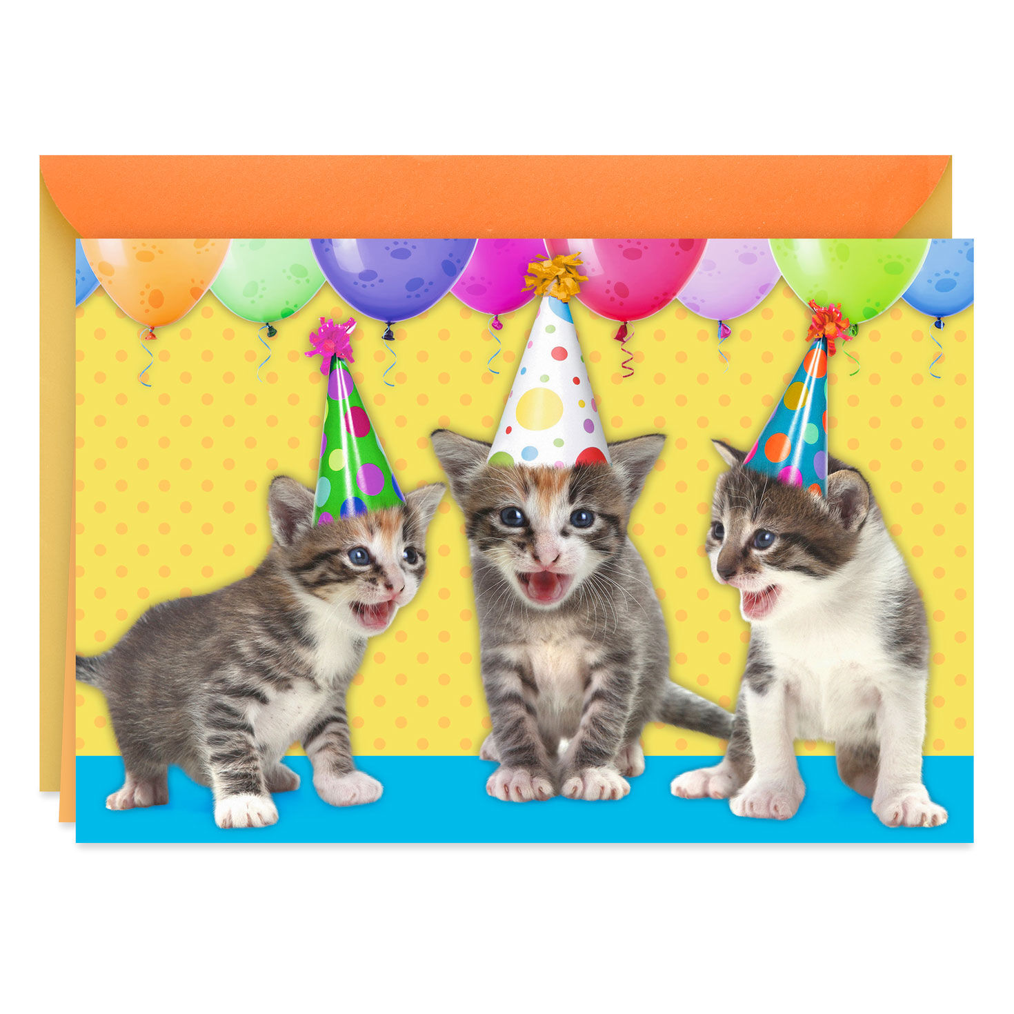 Singing Kittens Birthday Card With Sound Greeting Cards Hallmark