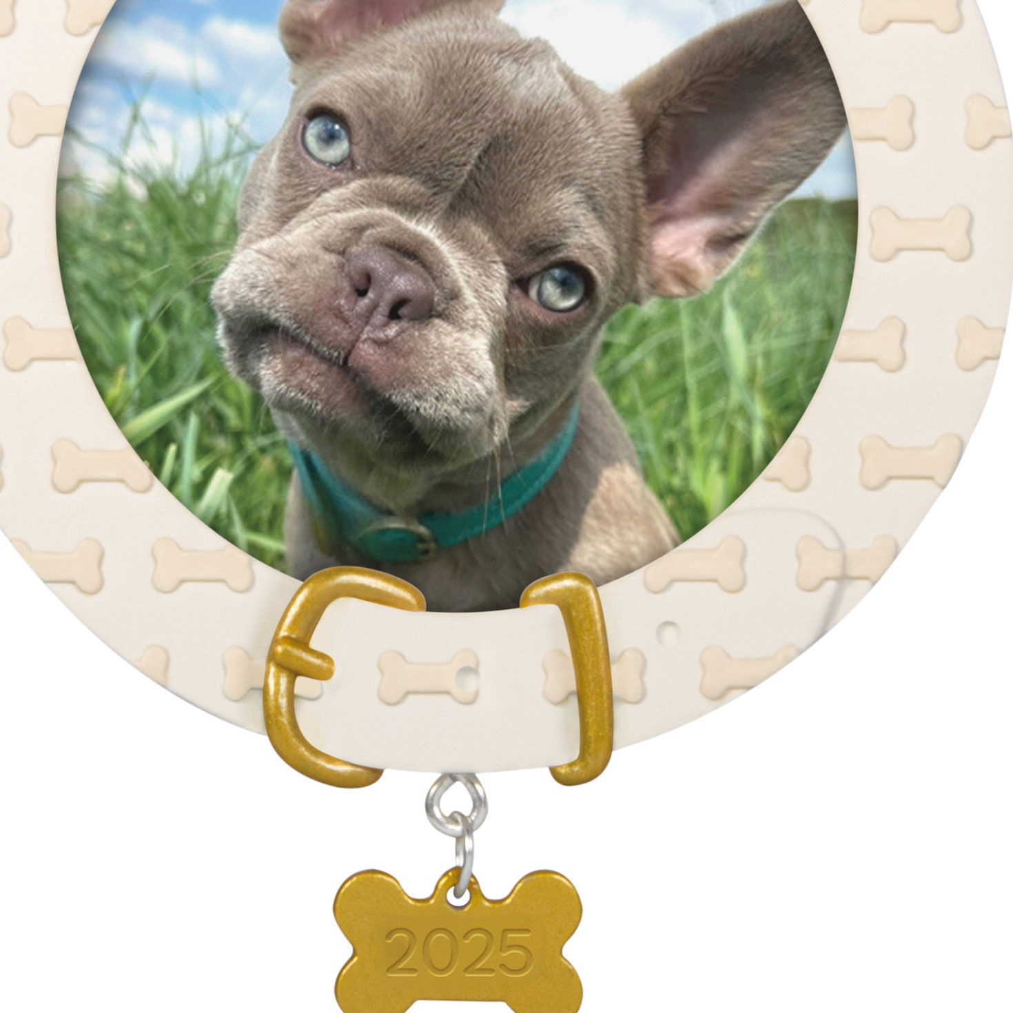 Pet Collar With Bone Charm Frame Keepsake Ornament closeup view image number 5