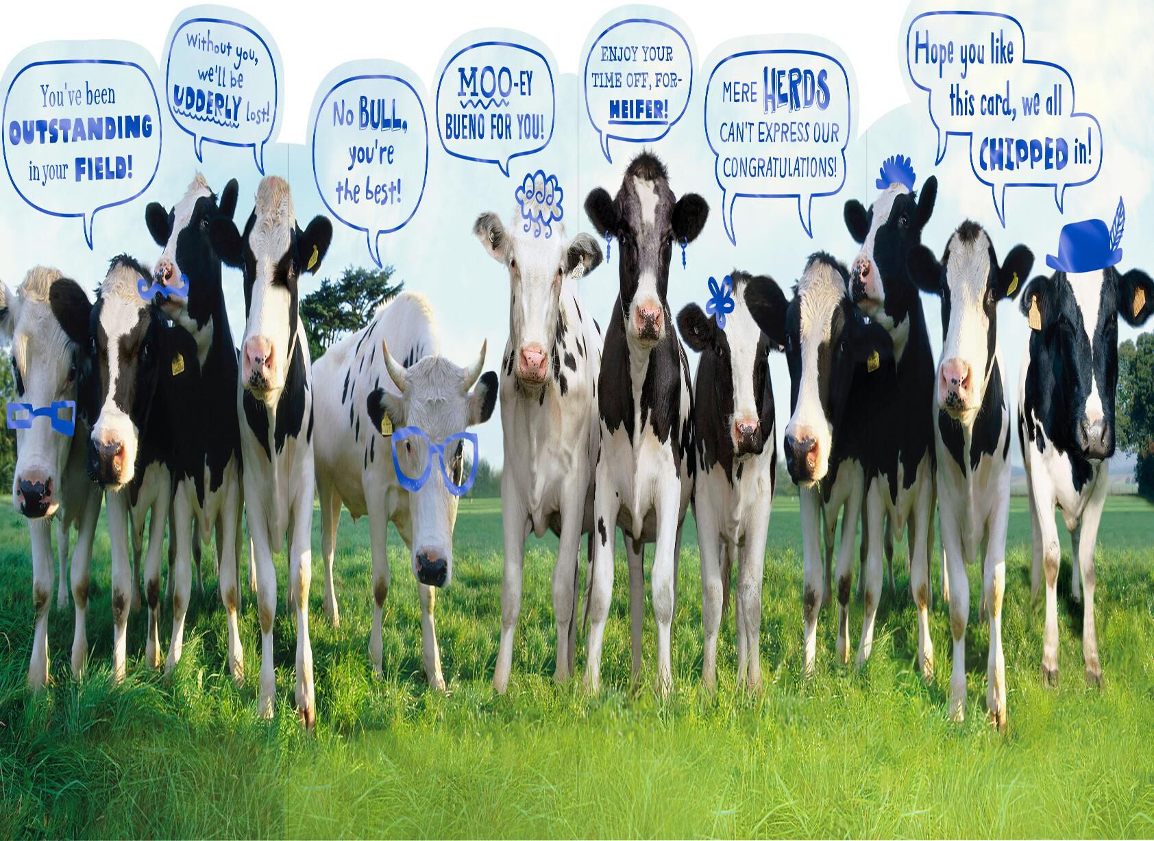 The Word From the "HERD" Funny Retirement Card From Group
