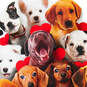 Puppies in Basket Funny Musical Valentine's Day Card, , large image number 4
