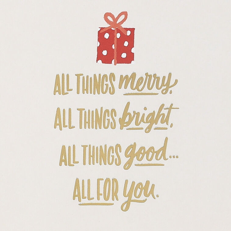 Presents Dog in Car Christmas Money Holder Card Sentiment image number 2