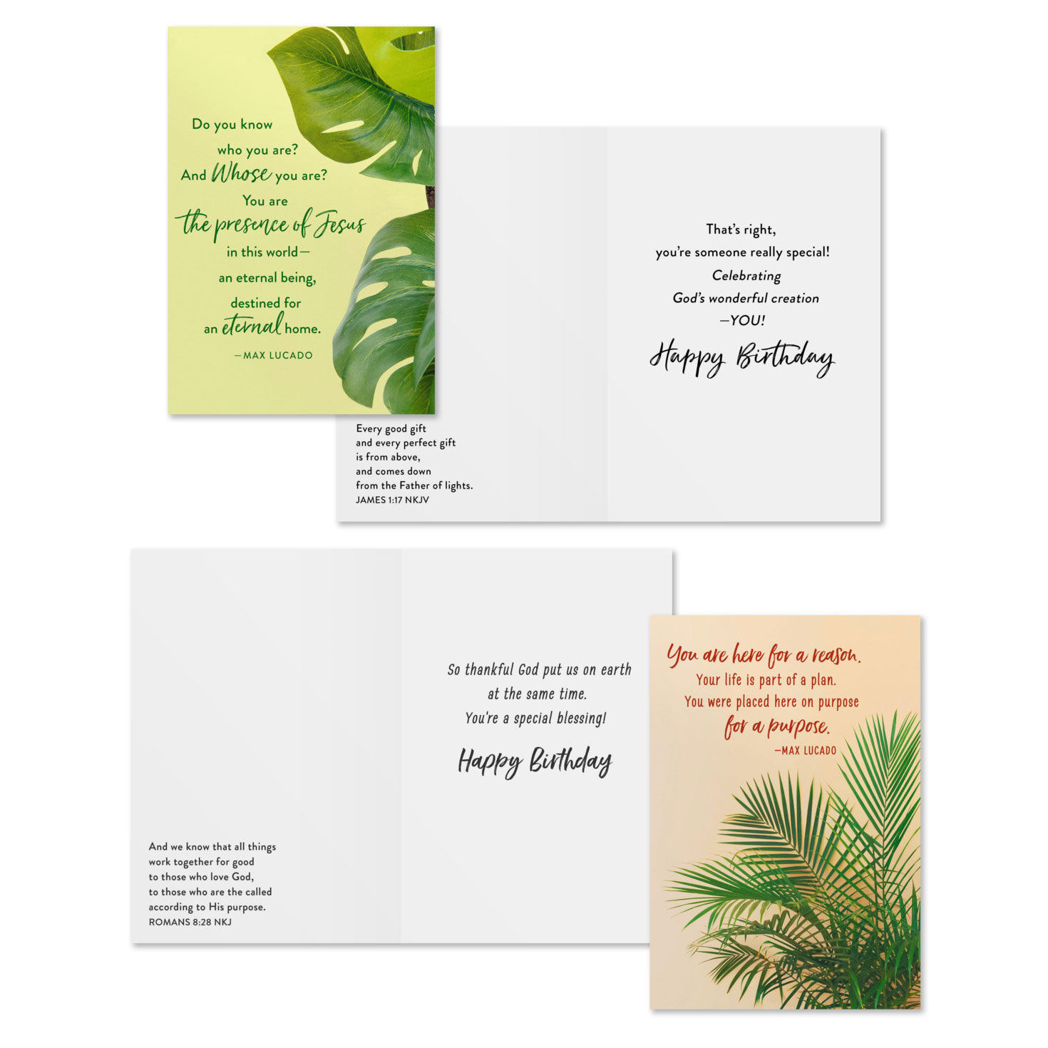 Max Lucado Art DaySpring Birthday Cards Assortment Card Front with Sentiment image number 3