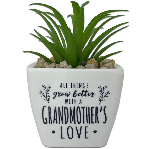 Faux Potted Succulent With Grandmother Message, 