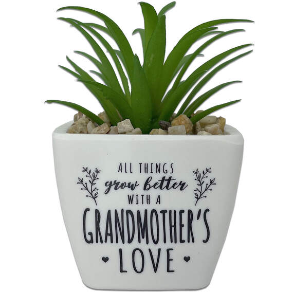 Faux Potted Succulent With Grandmother Message