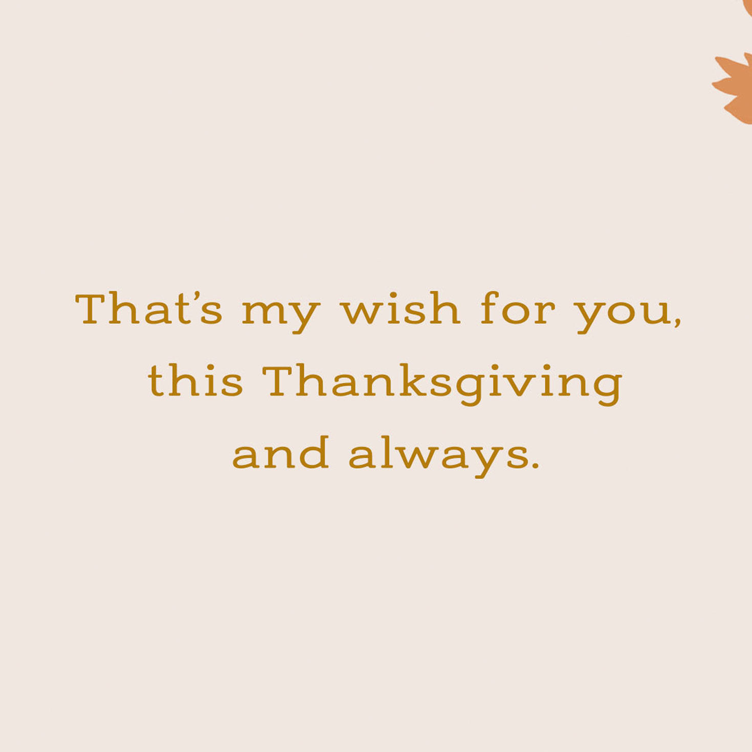Peace to You Thanksgiving Card for only USD 3.59 | Hallmark