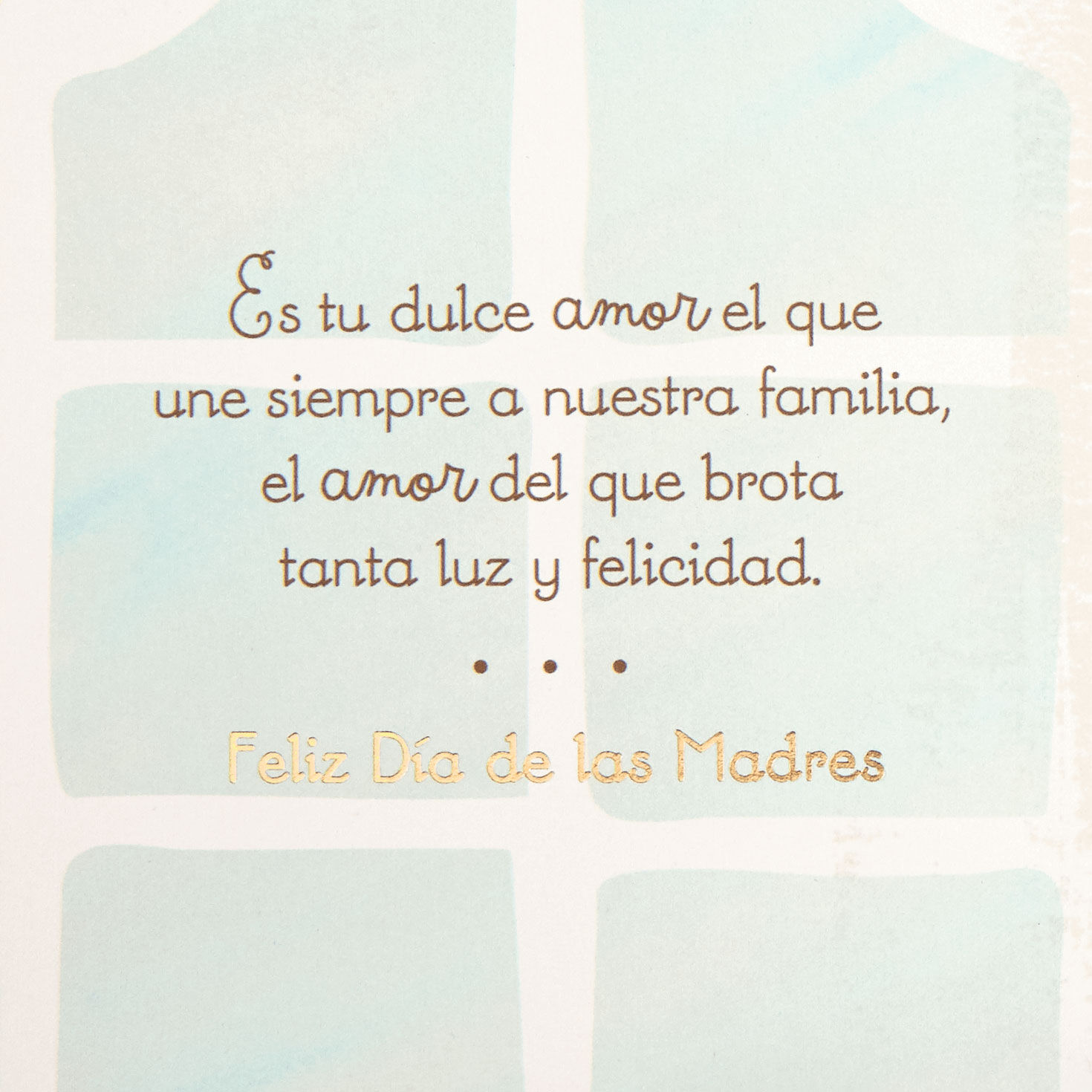 Succulent Plants Grandma Spanish Mother's Day Card Sentiment image number 4