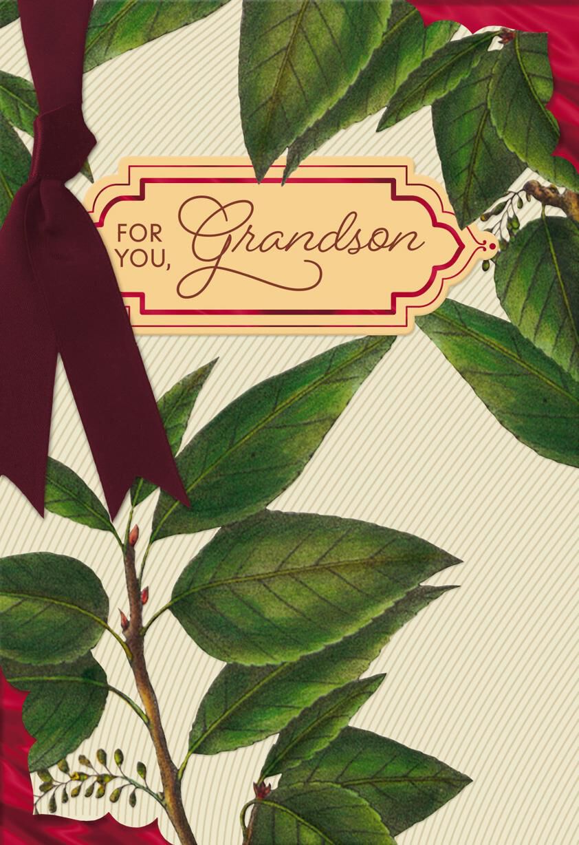 Joy and Respect Birthday Card for Grandson