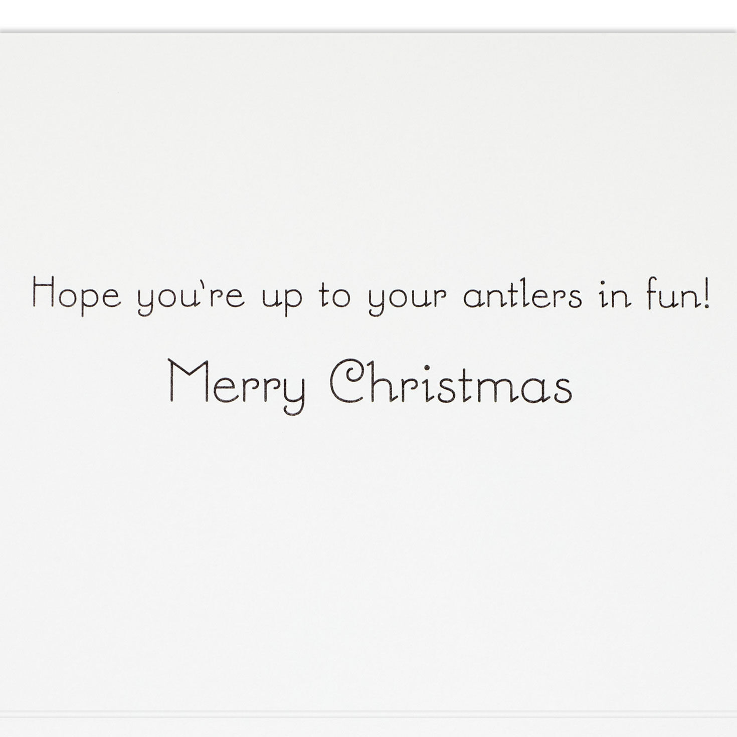 Reindeer Dogs Money-Holder Christmas Card Pack Sentiment Detail image number 3