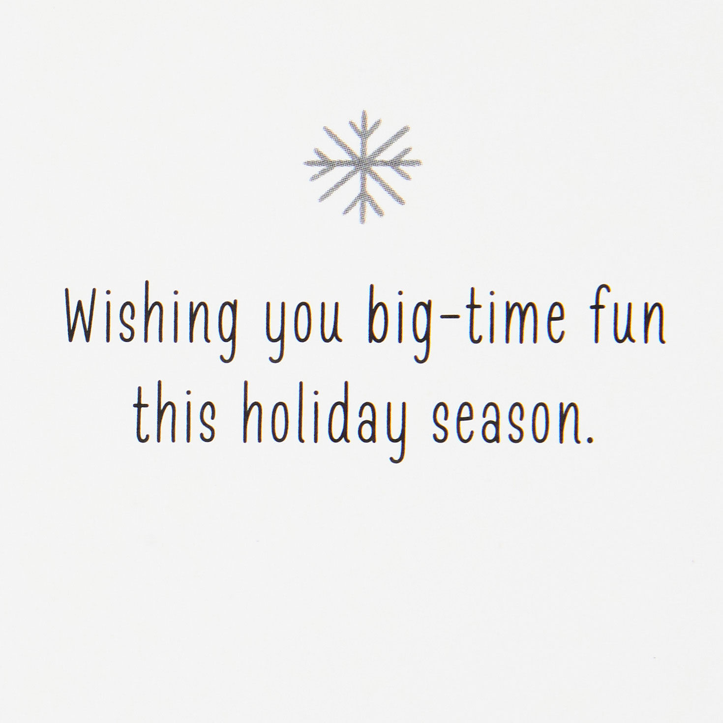 Texas Snow Globe Scene Boxed Christmas Cards, Pack of 16, , large image number 4