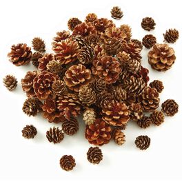 Pinecone Vase Filler, Pinecone Vase Filler, , large