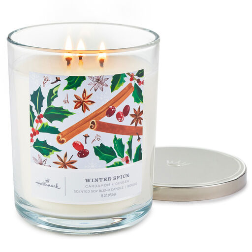 Winter Spice 3-Wick Jar Candle, 16 oz., 