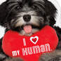 I Love My Human Valentine's Day Card From Dog, , large image number 4