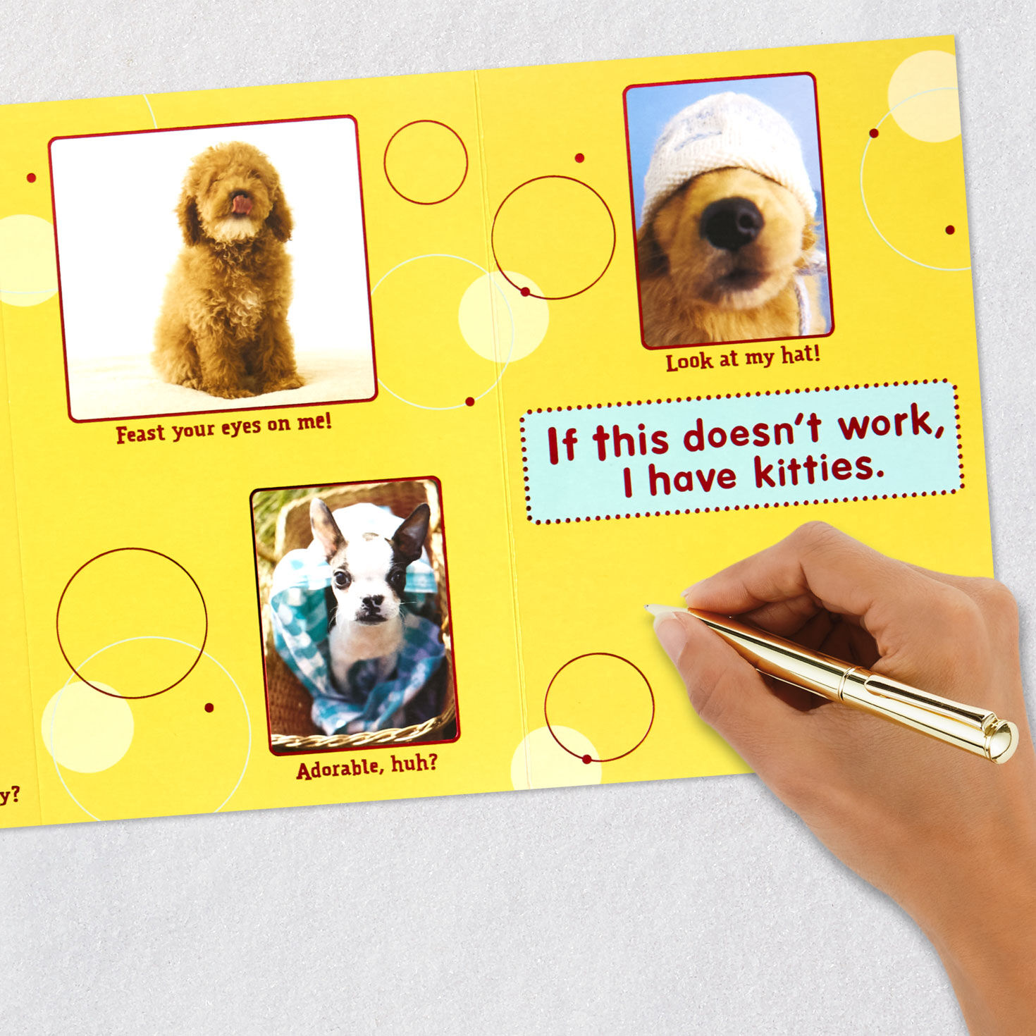 Puppy Pics to Help Forget Getting Older Birthday Card for only USD 4.99 | Hallmark