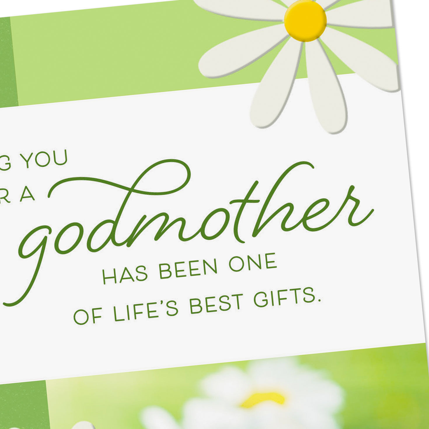 Daisy Flowers on Green Godmother Birthday Card Card Front Detail image number 4