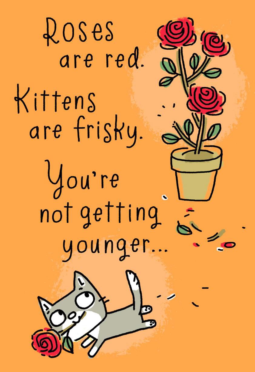 Kittens Are Frisky Poem Funny Birthday Card