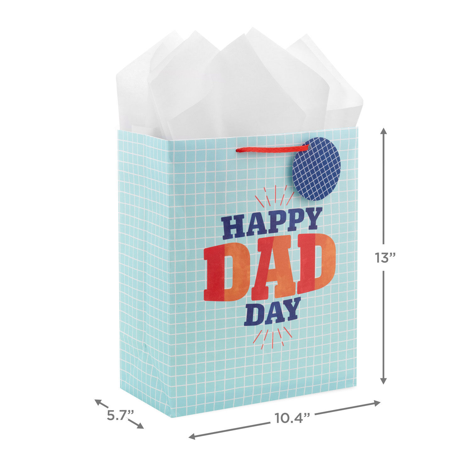 Blue Grid Large Father's Day Gift Bag With Tissue measurement image number 3