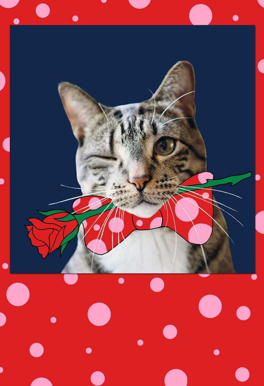 Je T’aime I Love You Valentine's Day Card