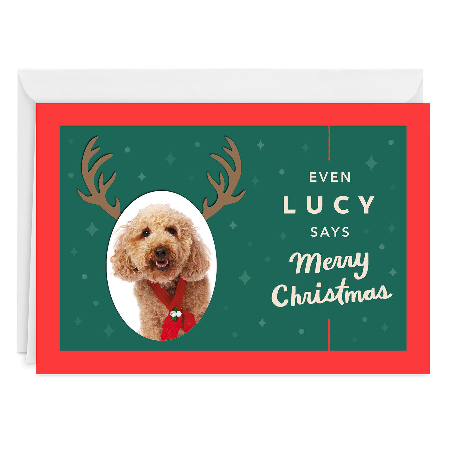 Reindeer Face Custom Christmas Card From Pet