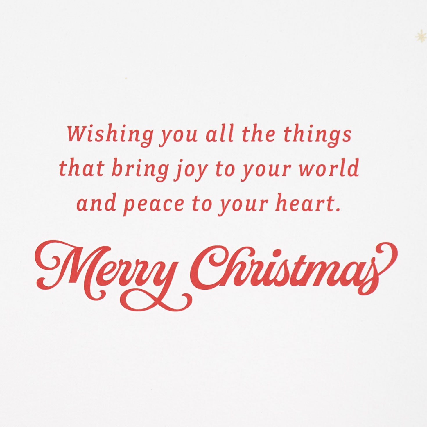 Holiday Stocking Sister Christmas Card Sentiment image number 2
