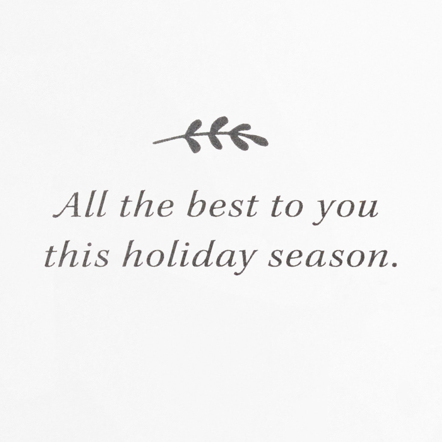 Poinsettias and Evergreen Boughs Packaged Christmas Cards, Set of 5, , large image number 4