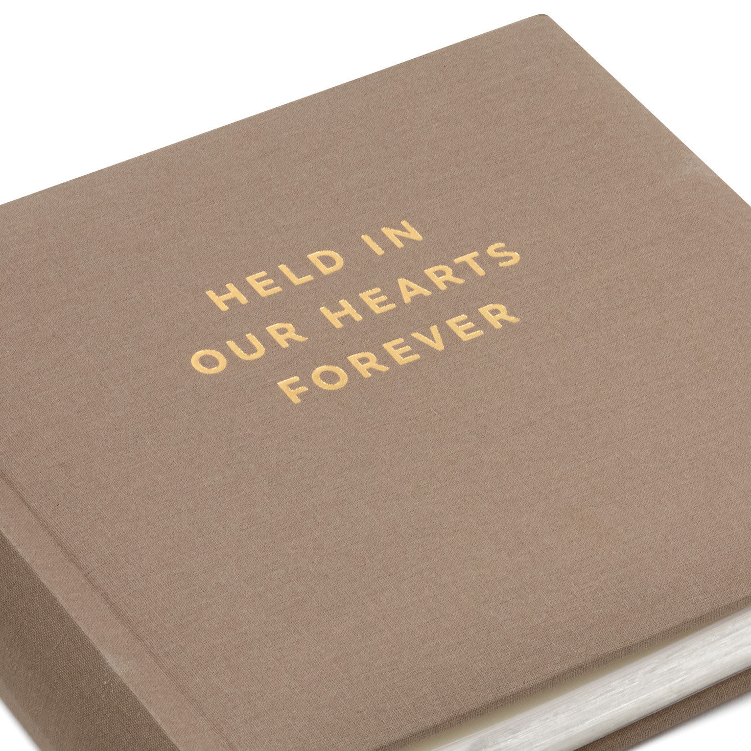 Taupe and Gold Memorial 2-Up Photo Album closeup view image number 5