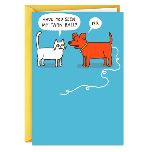 All the Fun You Can Get Away With Funny Birthday Card, 