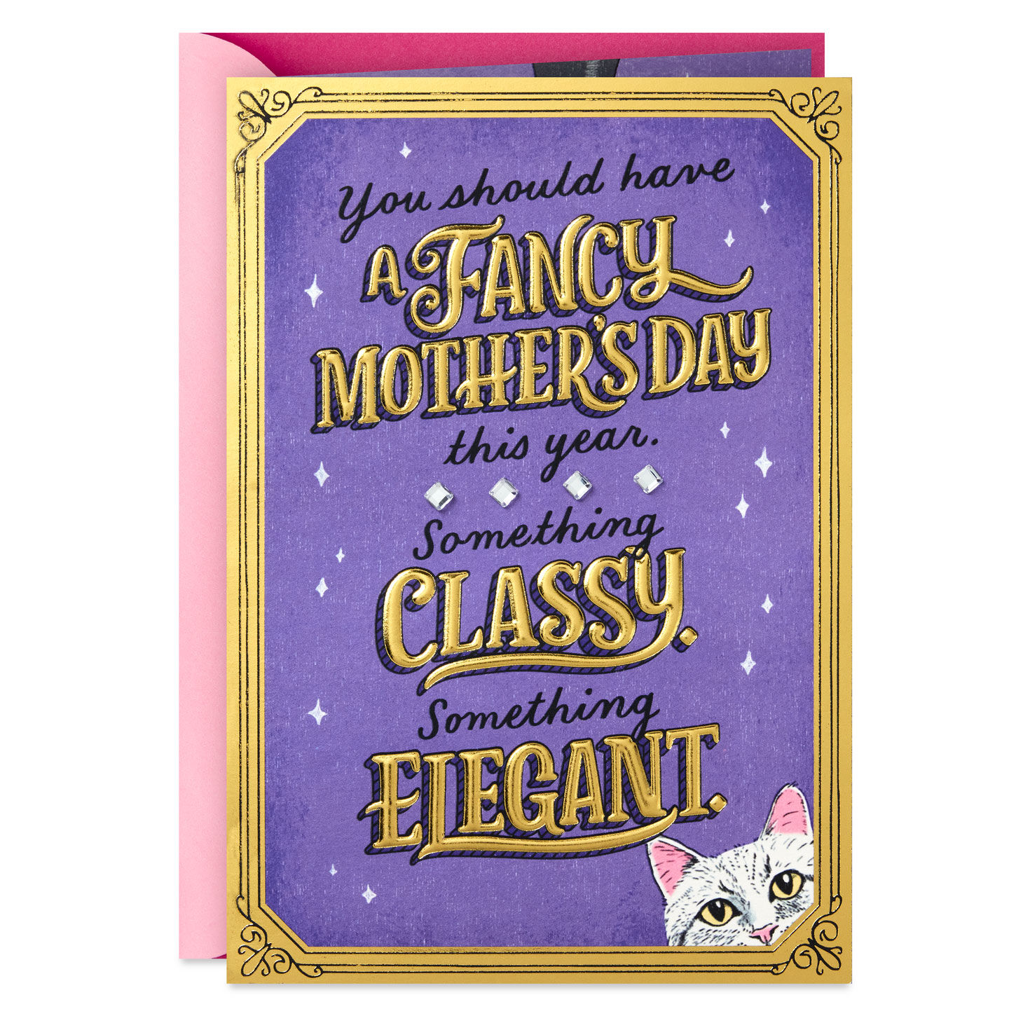 Fancy Wet Food Only Funny Mother's Day Card from Cat
