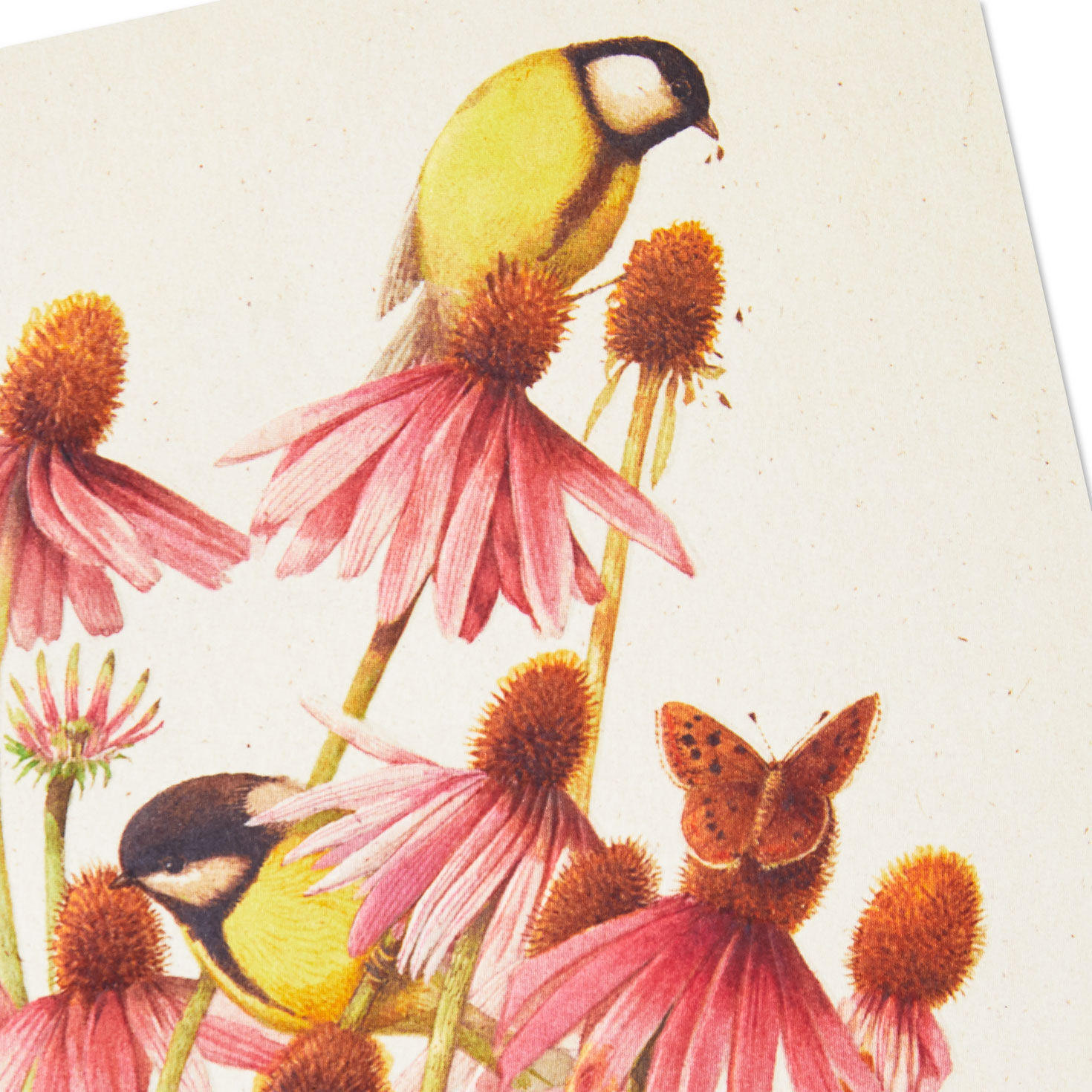 Marjolein Bastin Birds on Pink Flowers Mother's Day Card Card Front Detail image number 4