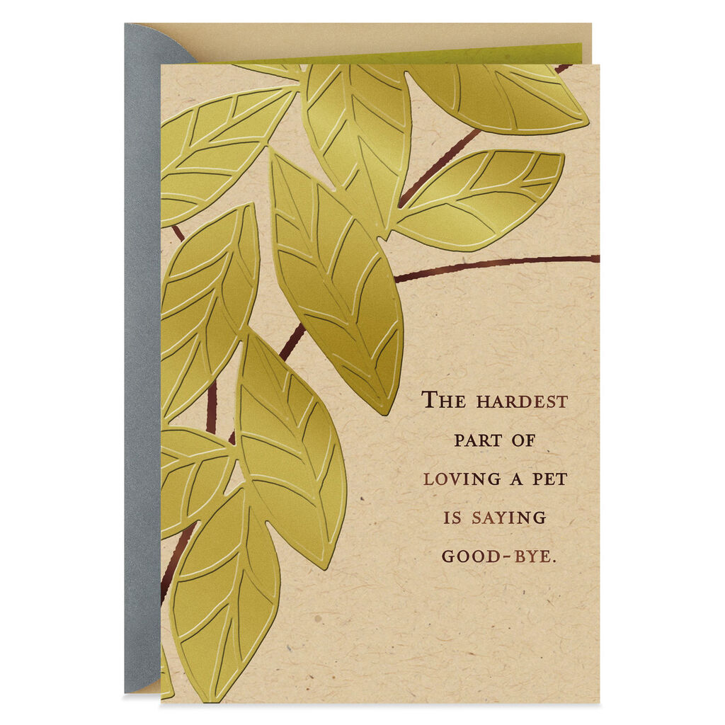 Saying Good Bye Sympathy Card For Loss Of Pet Greeting Cards