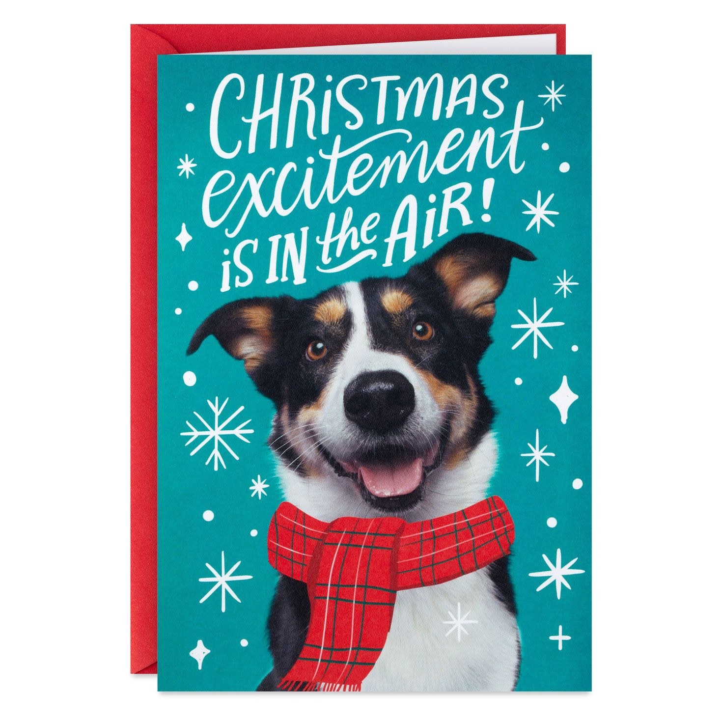 Christmas Excitement Boxed Christmas Cards, Pack of 16, , large image number 2
