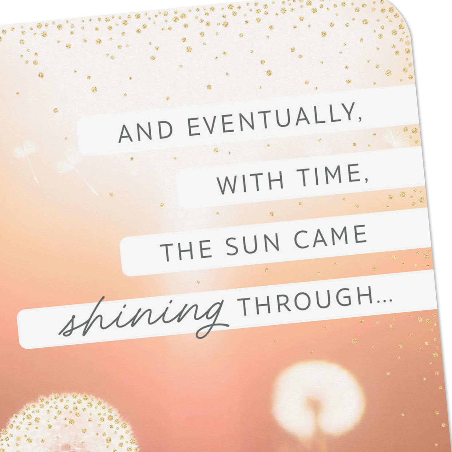 Dandelions in Sunshine Encouragement Card Card Front Detail image number 4