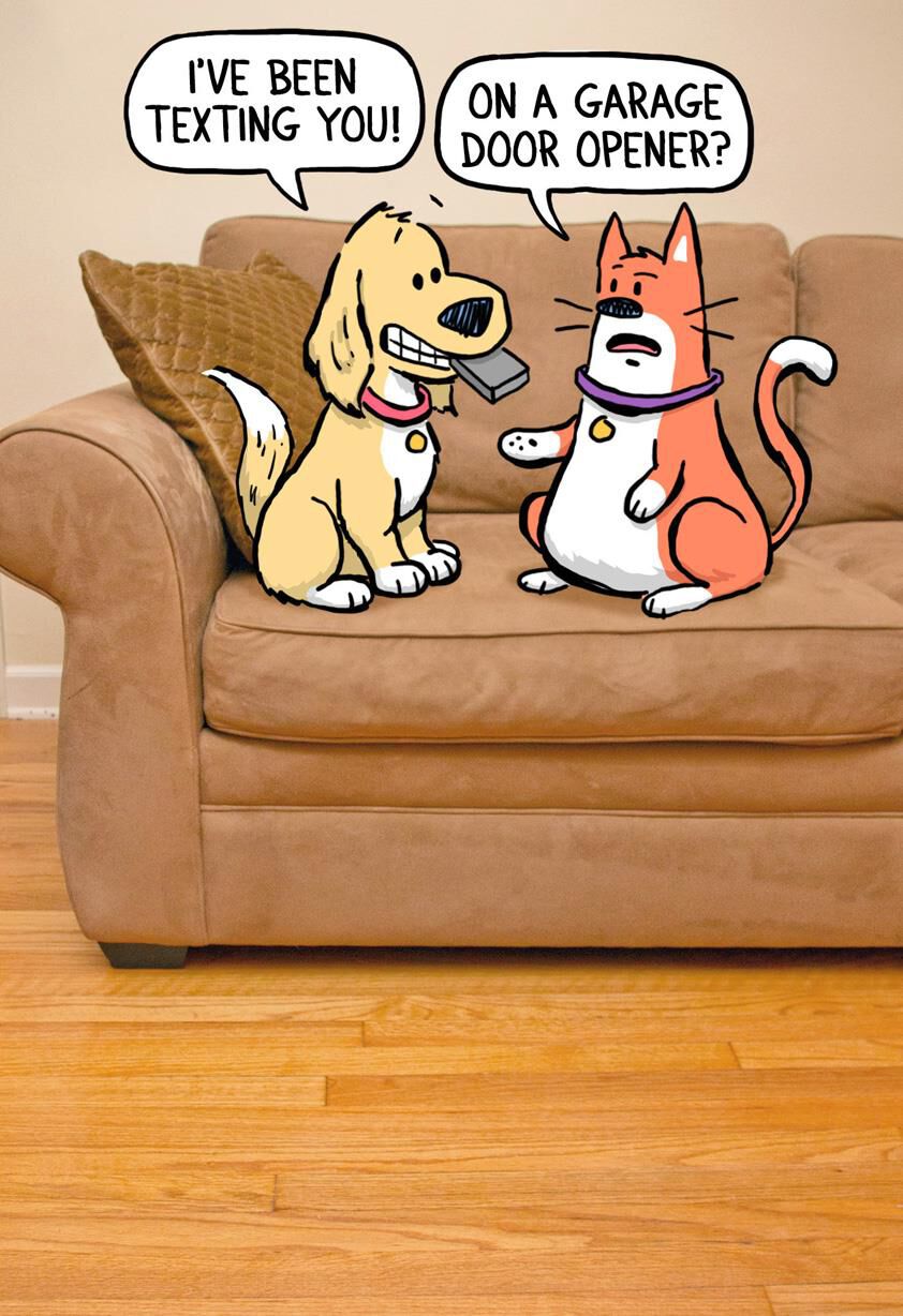 Technologically Challenged Pets Funny Birthday Card