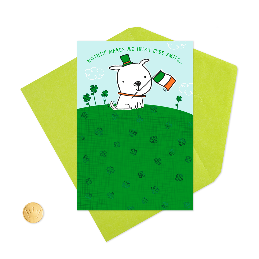 dog with irish flag