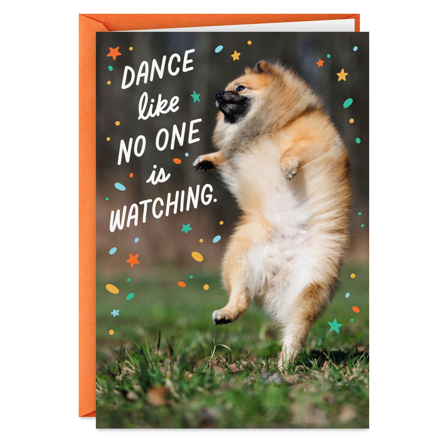Maybe Just Have Some Cake Funny Birthday Card - Greeting Cards | Hallmark