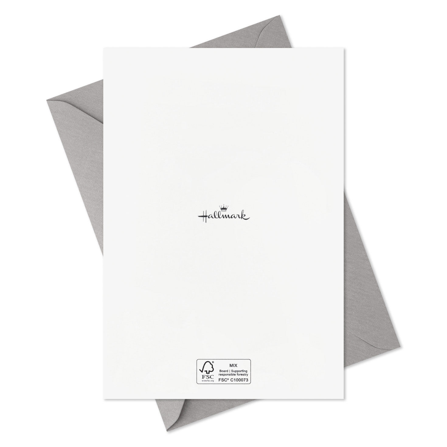 Season of Hope and Beauty Boxed Christmas Cards Assortment, Pack of 16, , large image number 6