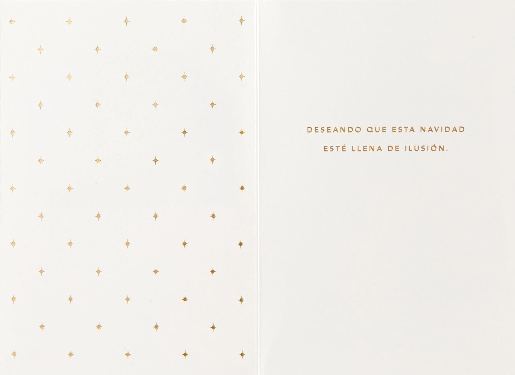 Noche de Paz Spanish-Language Christmas Card