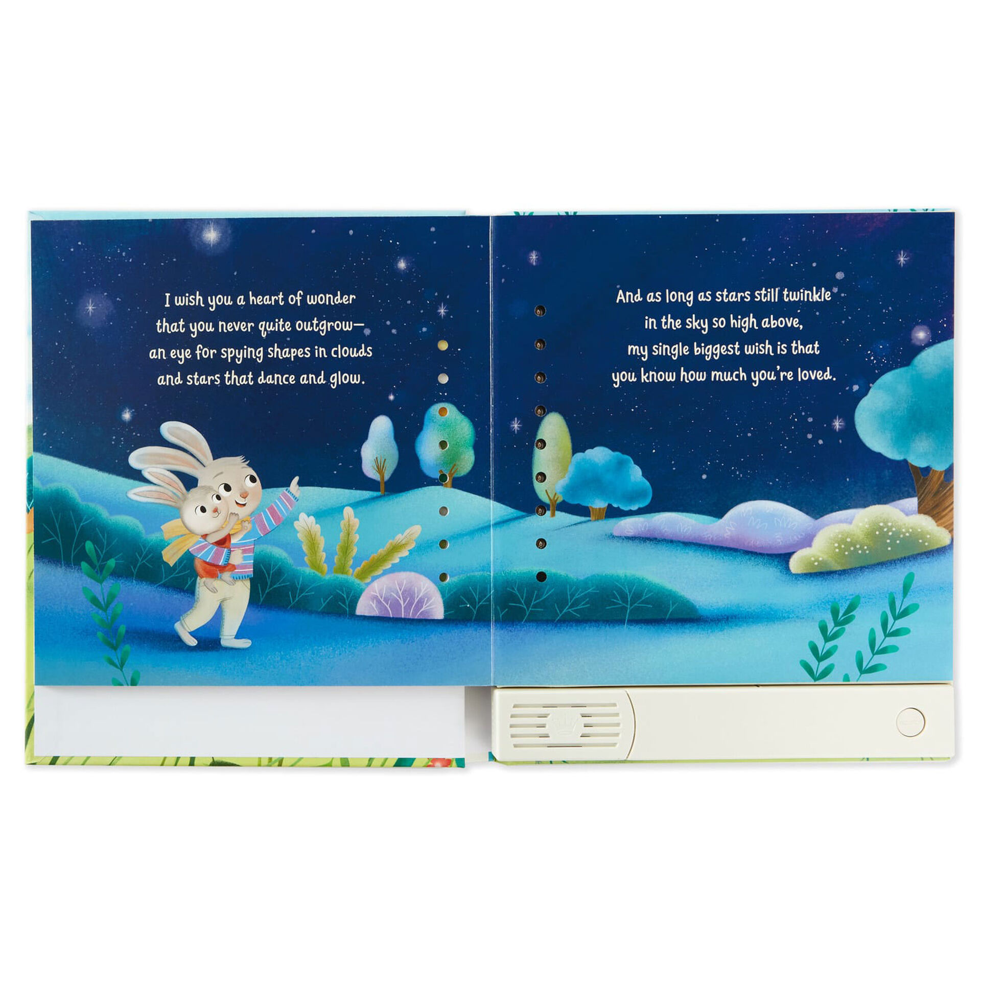 My Wish For You Recordable Storybook Recordable Storybooks Hallmark