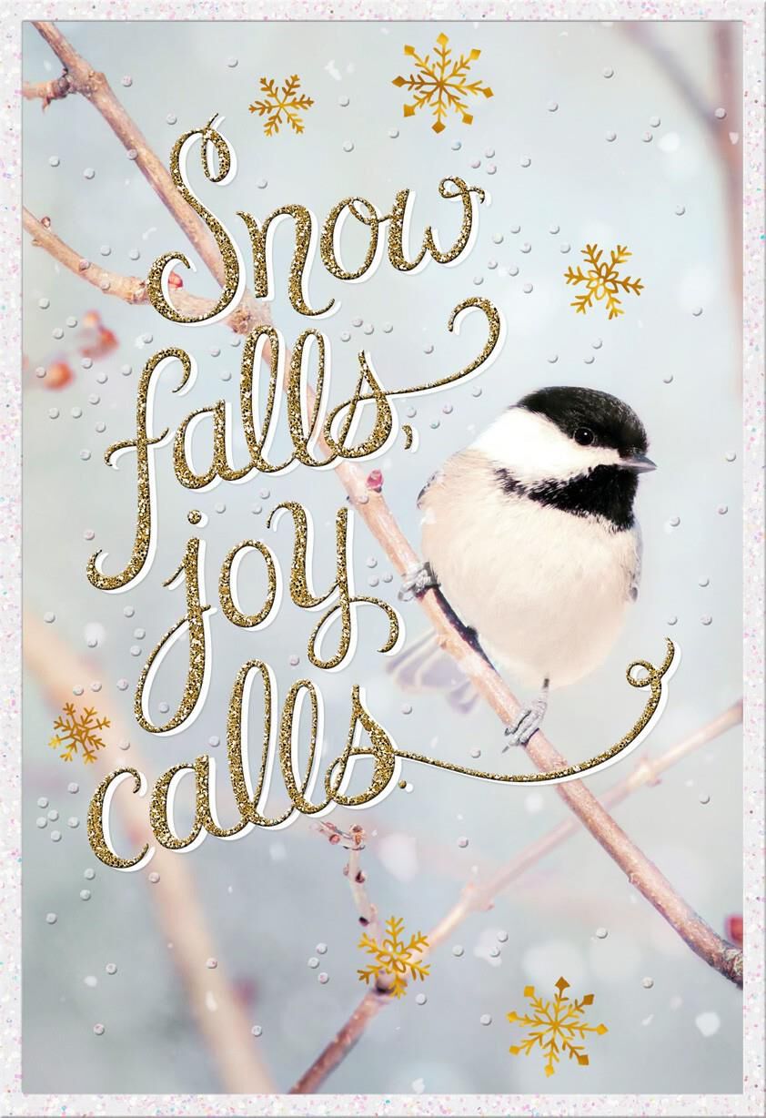 Chickadee Song Christmas Card