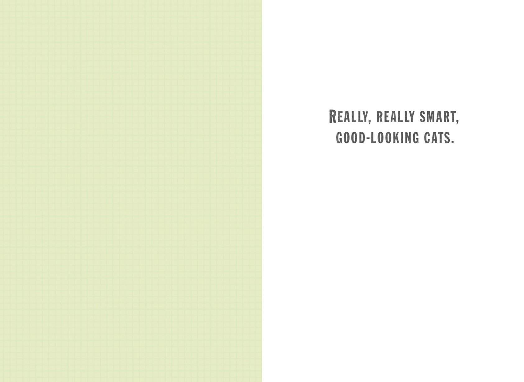 Herding Cats Administrative Professionals Day Card