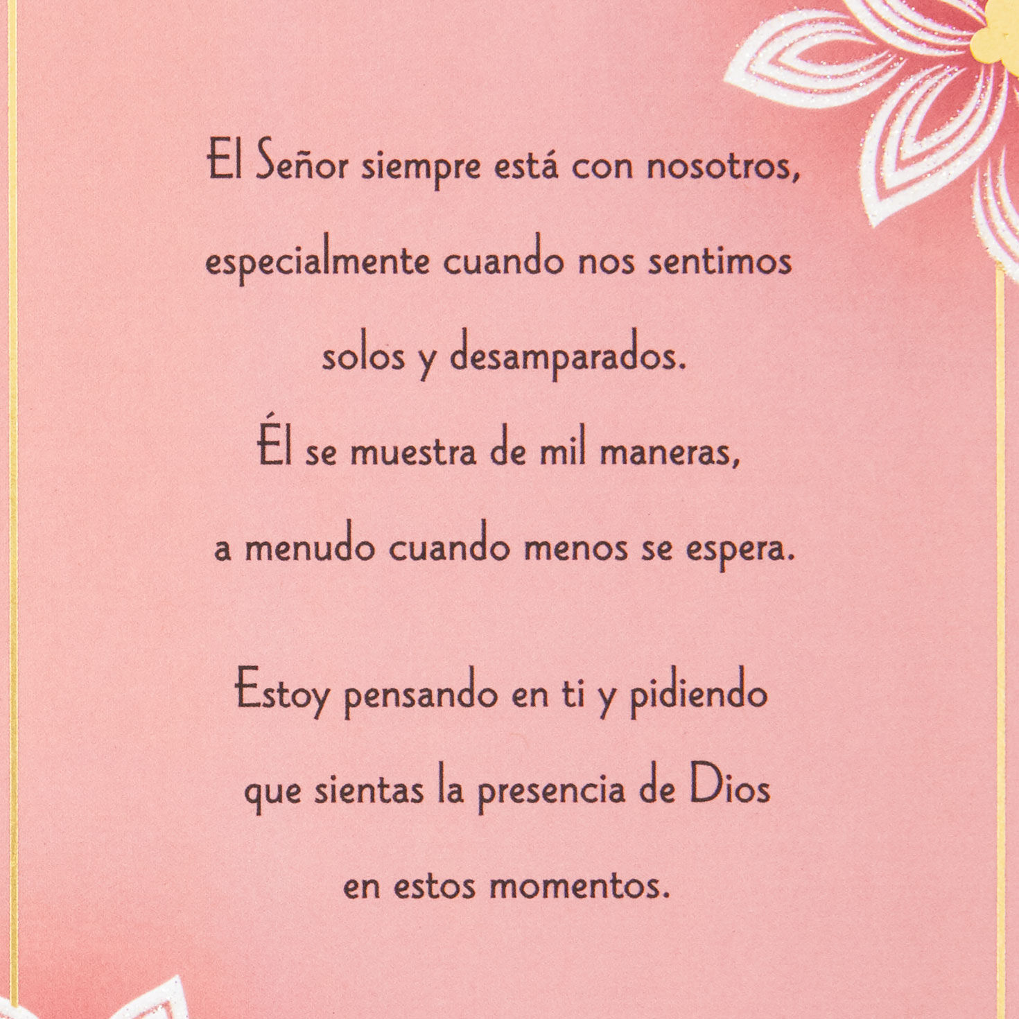 White Flowers on Pink Thinking of You Card in Spanish Sentiment image number 2