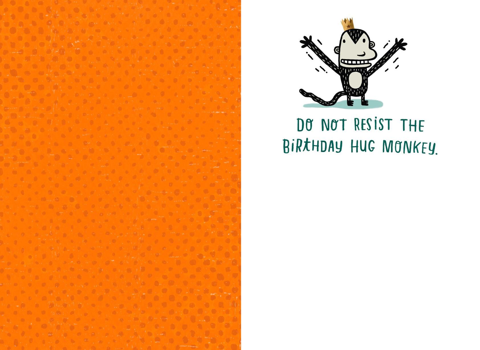 Hug Monkey Funny Birthday Card