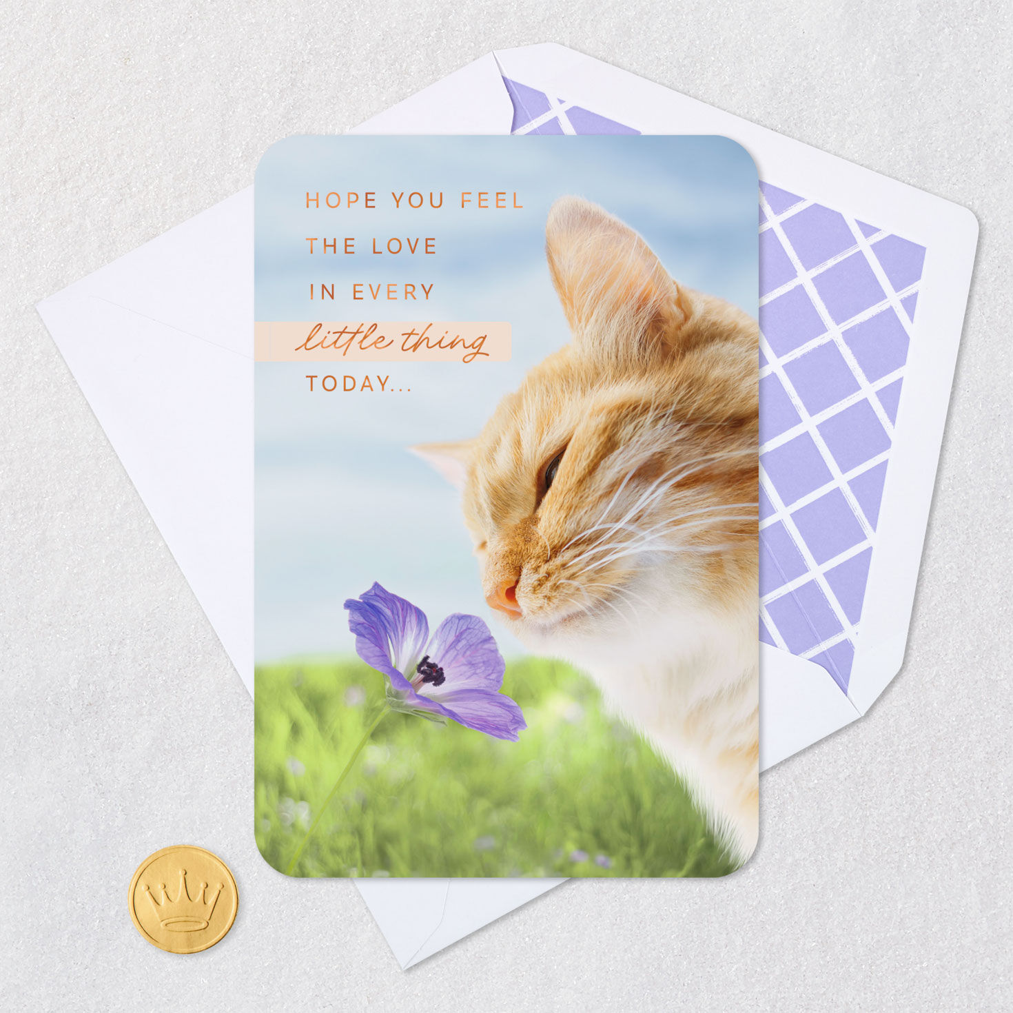 Tabby Cat Smelling Purple Flower Love Card Card Front Detail image number 5