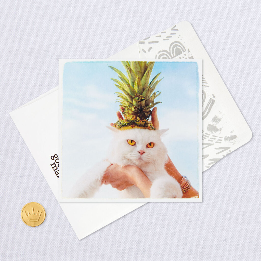 Sourpuss Cat Wearing Pineapple Hat Birthday Card Greeting Cards