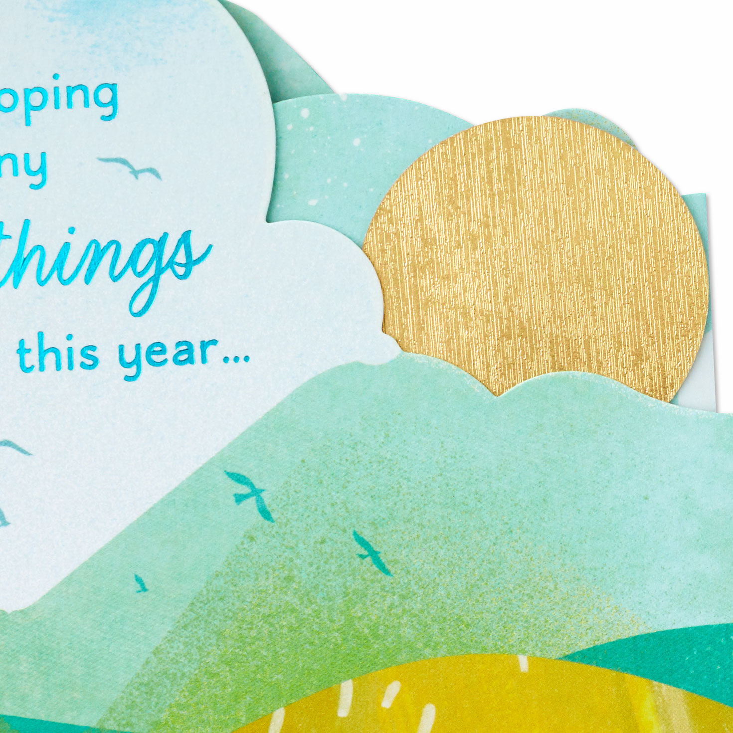 Hoping So Many Good Things Birthday Card, , large image number 9