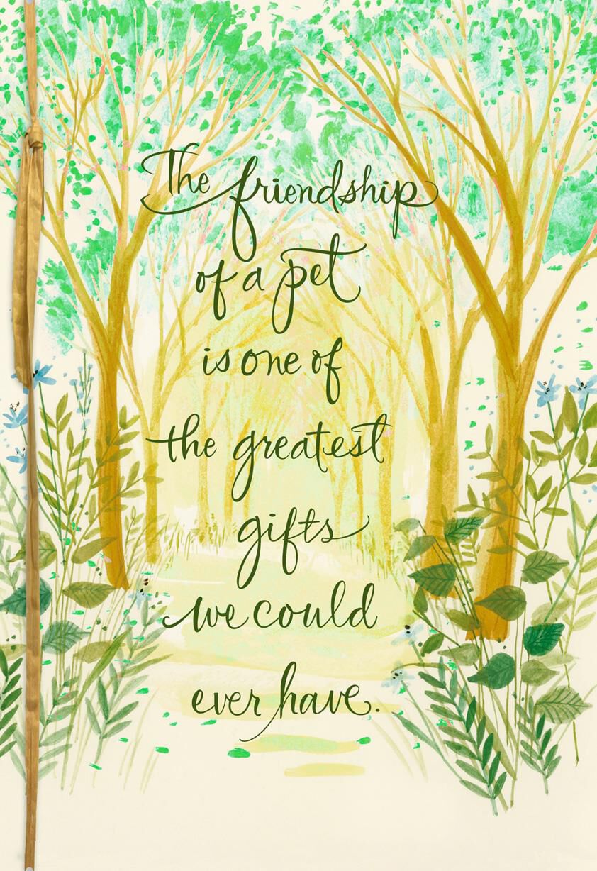 Tree Canopy Loss of Pet Sympathy Card