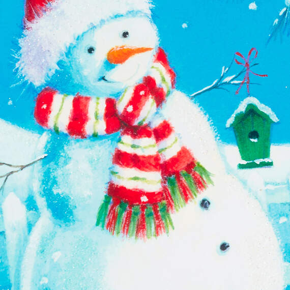 Snowman With Birdhouse Money Holder Christmas Cards, Pack of 10, , large image number 5
