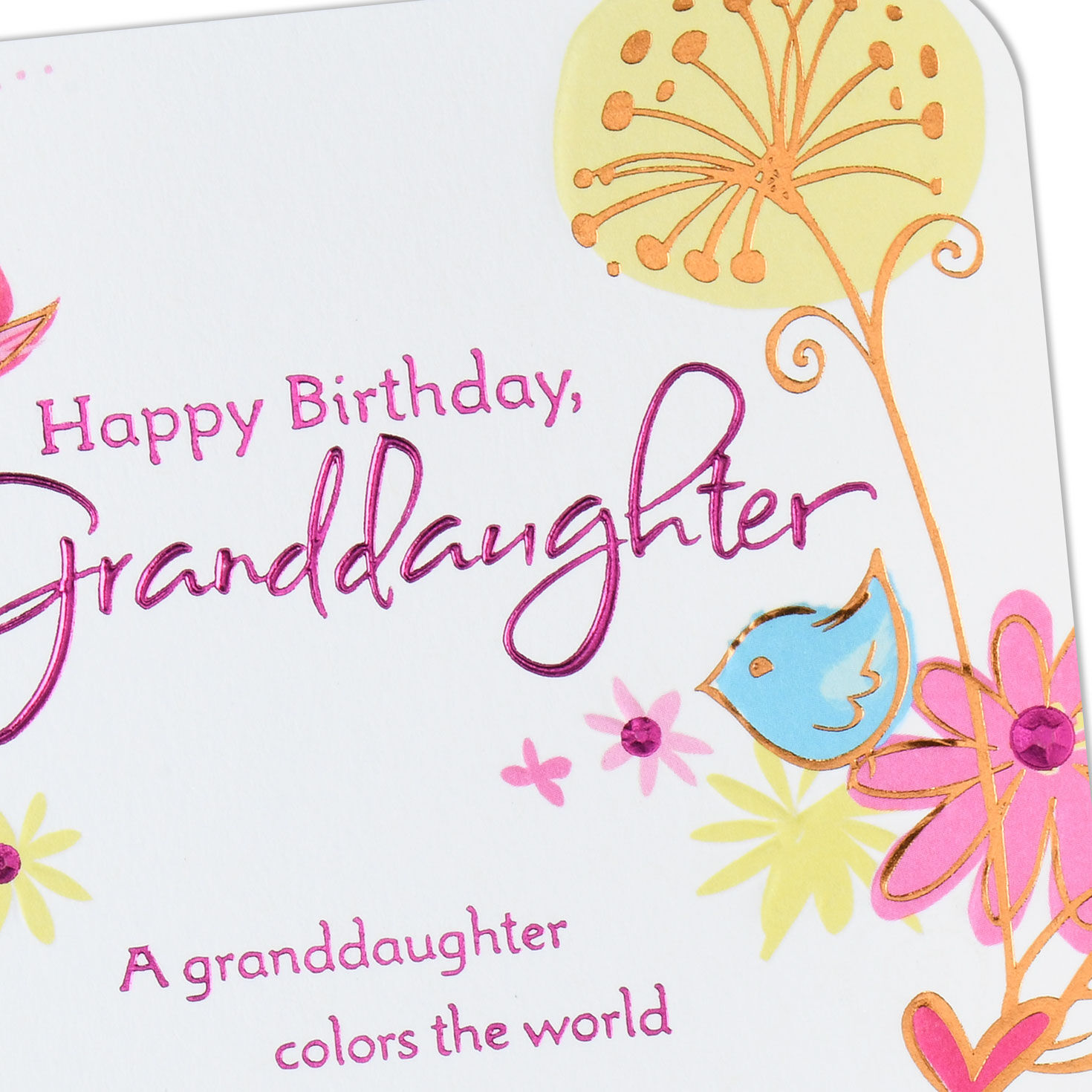 Birds, Flowers and Hearts Granddaughter Birthday Card Card Front Detail image number 5